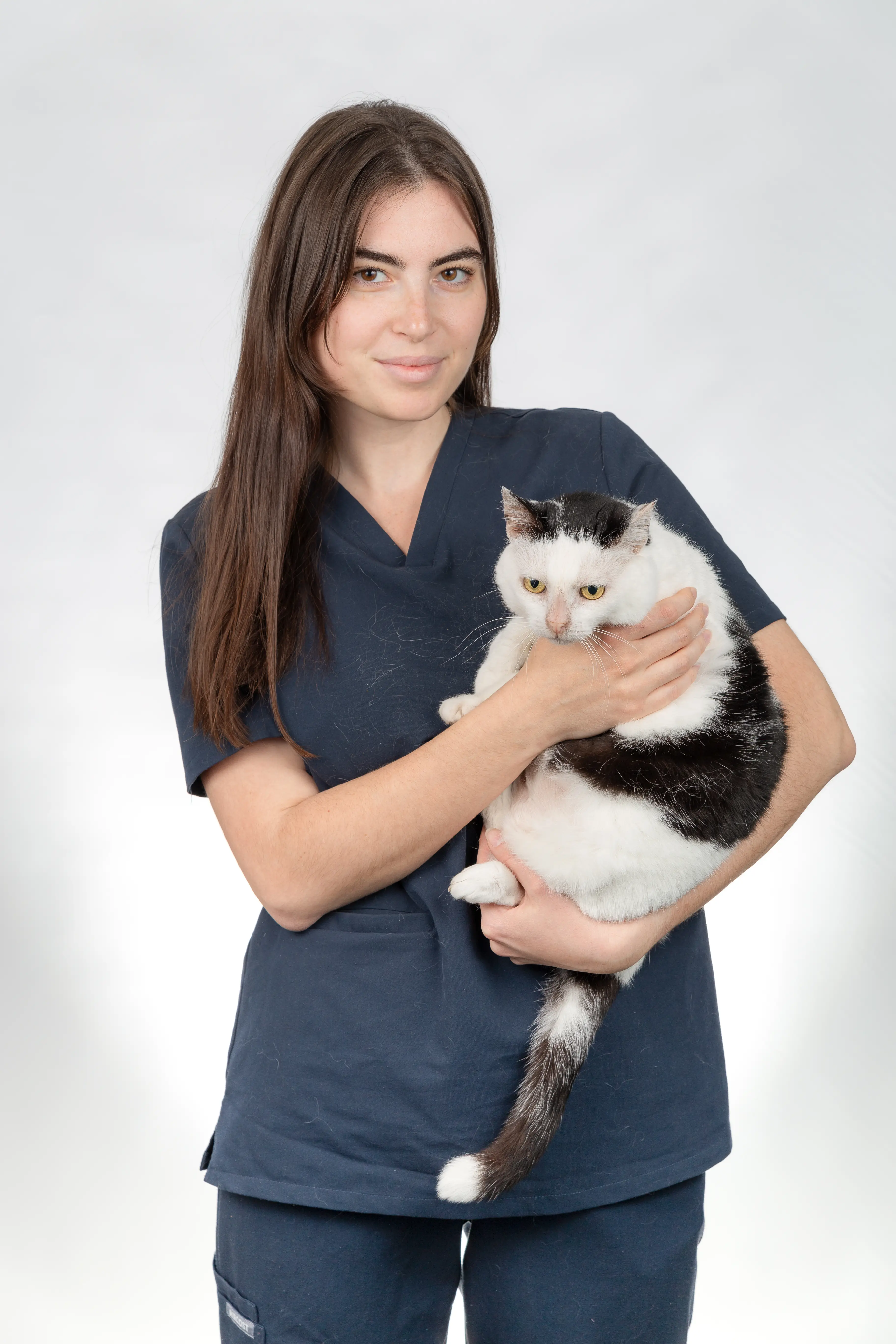 Ветеринарная клиника. ООО «Белая медведица»